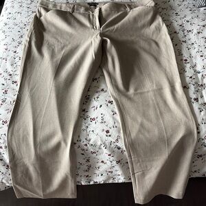 Express Editor Tan Dress Pants